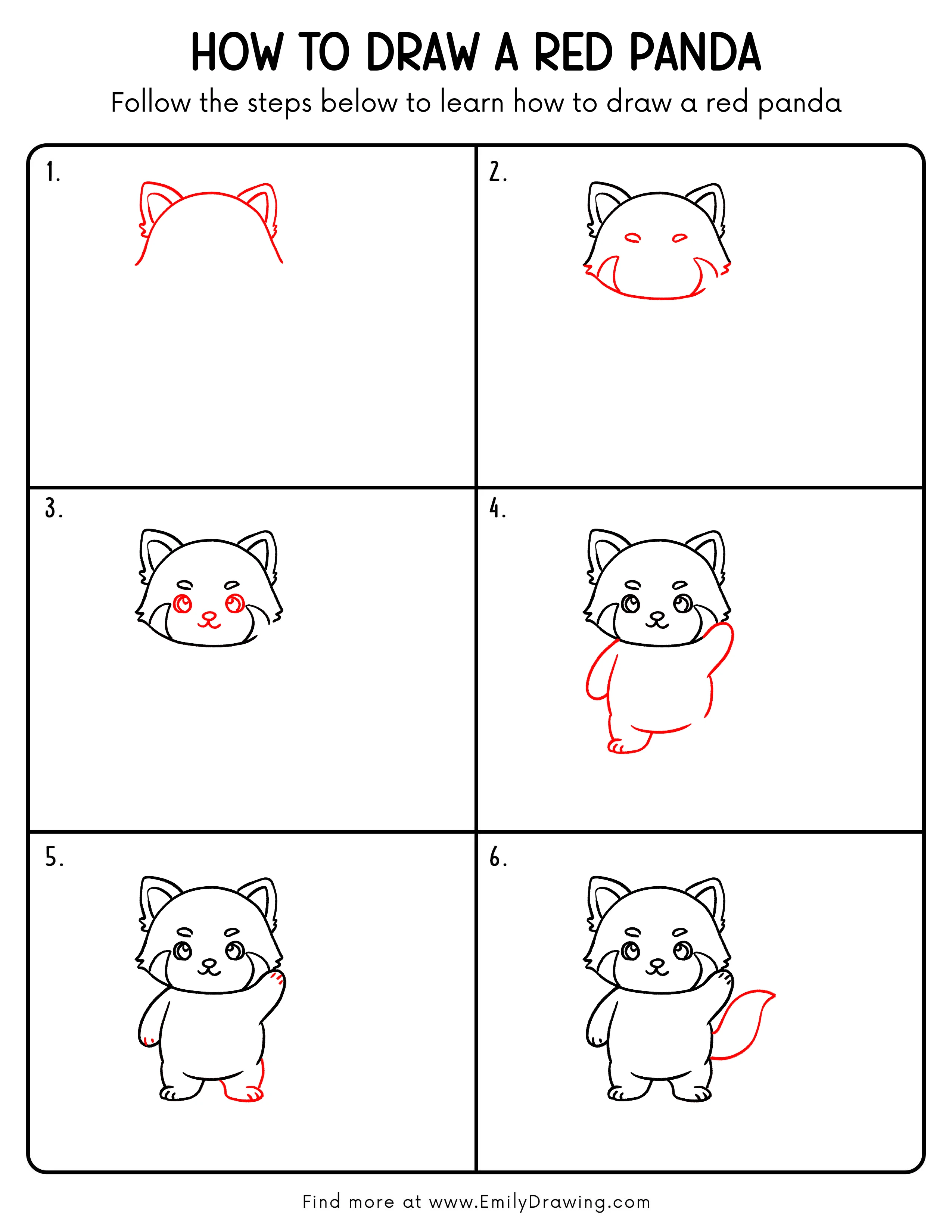 Printable Red Panda Drawing Guide